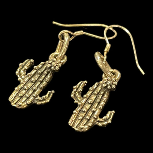 Western Rodeo-Style Cactus Earrings - Regul Silver